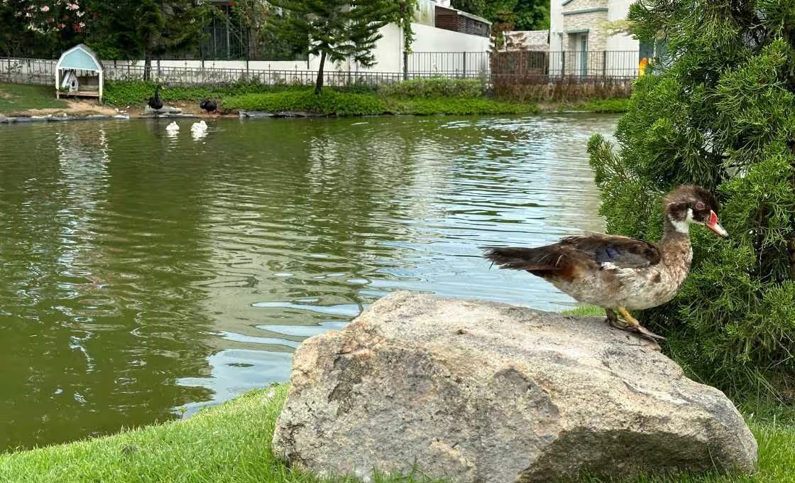 Bristol Park Комплекс 5
