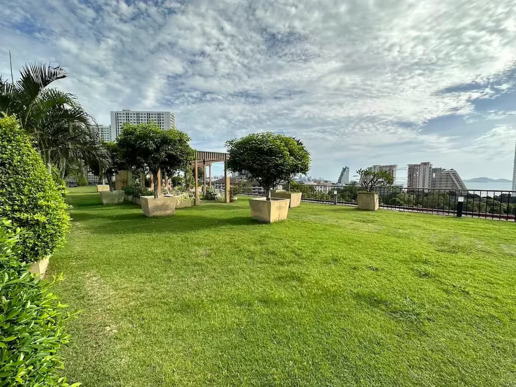 City Garden Tropicana Сад и зеленая зона